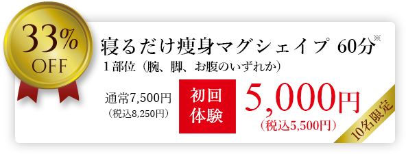 寝るだけ痩身マグシェイプ 30分